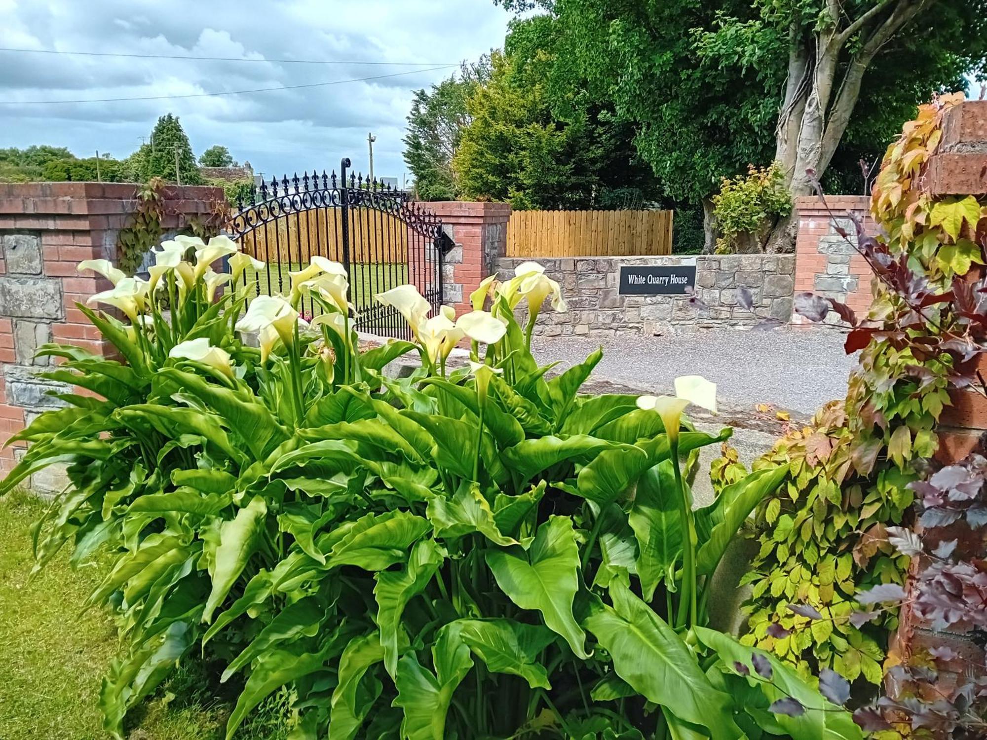 White Quarry Hse Quarry Road Guest House Navan Exterior foto